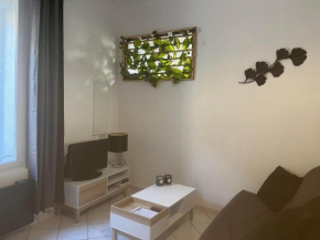 Chez Pat, Appartement centre ville de Vias(34), mer à 2,5km